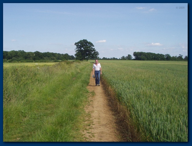 600x449 pixels (122K)